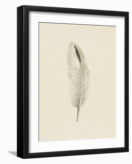 Plush Plume-The Vintage Collection-Framed Giclee Print