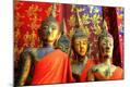 Photographic Print