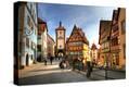 Stretched Canvas Print