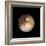 Pluto-Friedrich Saurer-Framed Premium Photographic Print