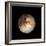 Pluto-Friedrich Saurer-Framed Premium Photographic Print