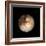 Pluto-Friedrich Saurer-Framed Premium Photographic Print