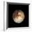 Pluto-Friedrich Saurer-Framed Premium Photographic Print