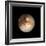 Pluto-Friedrich Saurer-Framed Premium Photographic Print