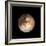 Pluto-Friedrich Saurer-Framed Premium Photographic Print