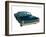 Plymouth - Fury Solo-null-Framed Art Print