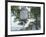 Plymouth Rock, Plymouth, Massachusetts-Natalie Tepper-Framed Photo