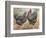 Plymouth Rocks-J^ W^ Ludlow-Framed Premium Giclee Print