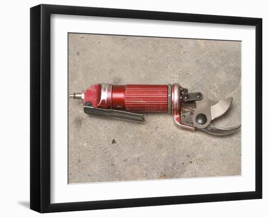 Pneumatic Compressed Air Driven Secateur Shears for Pruning Vines, Chateau Belingard, Bergerac-Per Karlsson-Framed Photographic Print