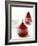 Poached Pears in Red Wine-Debi Treloar-Framed Photographic Print