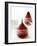 Poached Pears in Red Wine-Debi Treloar-Framed Photographic Print