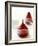 Poached Pears in Red Wine-Debi Treloar-Framed Photographic Print