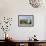 Pobull Fhinn (Finns People) Stone Circle, North Uist, Outer Hebrides, Scotland, 2009-Peter Thompson-Framed Photographic Print displayed on a wall