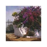 Bougainvillea and Palm Trees-Poch Romeu-Framed Giclee Print