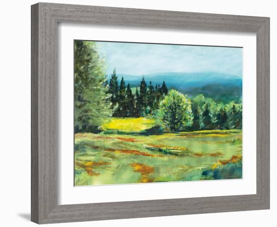 Pocket Meadow-Sue Schlabach-Framed Art Print