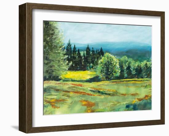 Pocket Meadow-Sue Schlabach-Framed Art Print