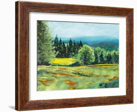 Pocket Meadow-Sue Schlabach-Framed Art Print