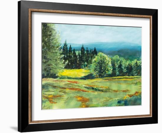 Pocket Meadow-Sue Schlabach-Framed Art Print