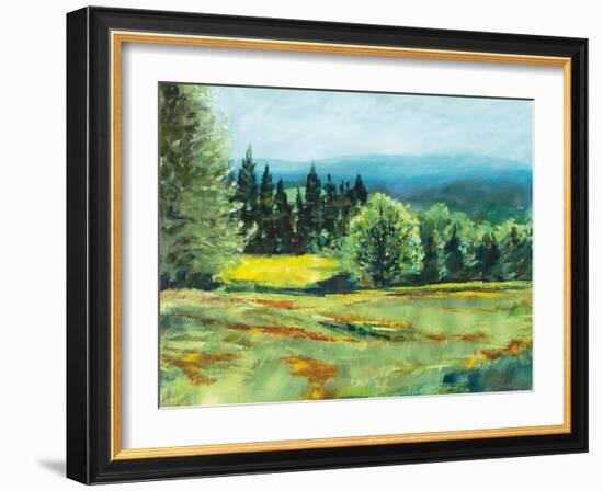 Pocket Meadow-Sue Schlabach-Framed Art Print