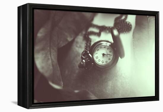 Pocket Watch-Carolina Hernandez-Framed Premier Image Canvas