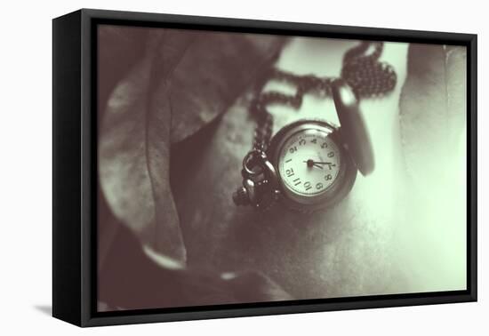 Pocket Watch-Carolina Hernandez-Framed Premier Image Canvas