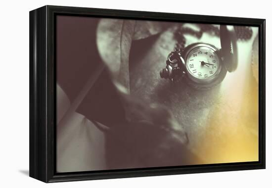 Pocket Watch-Carolina Hernandez-Framed Premier Image Canvas
