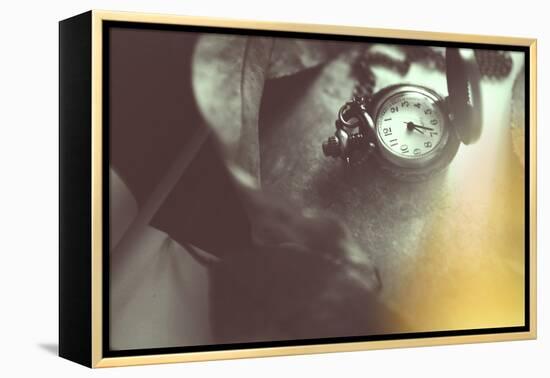 Pocket Watch-Carolina Hernandez-Framed Premier Image Canvas