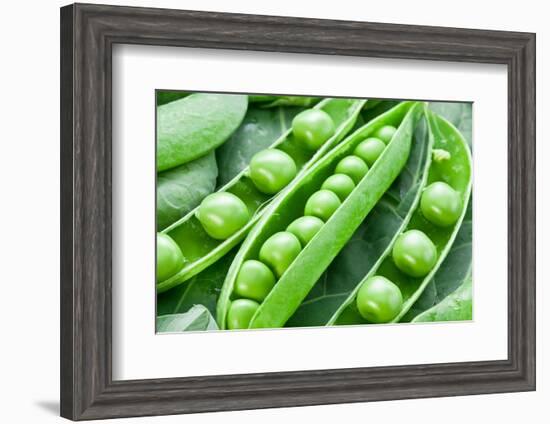 Pods of Green Peas on a Background of Leaves-Volff-Framed Photographic Print