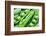 Pods of Green Peas on a Background of Leaves-Volff-Framed Photographic Print