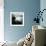 Podzoom-David Baker-Framed Photographic Print displayed on a wall