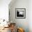 Podzoom-David Baker-Framed Photographic Print displayed on a wall