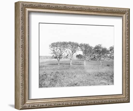 Poe Cottage in 1900-null-Framed Photographic Print