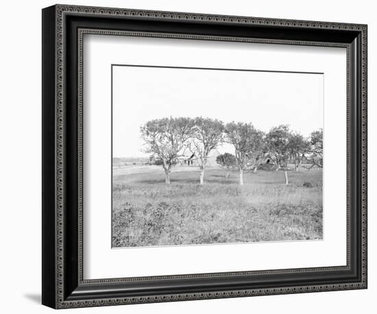 Poe Cottage in 1900-null-Framed Photographic Print