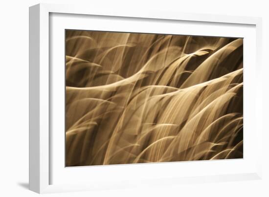 Poesia En Monocromo 7-Stessi-Framed Premium Giclee Print