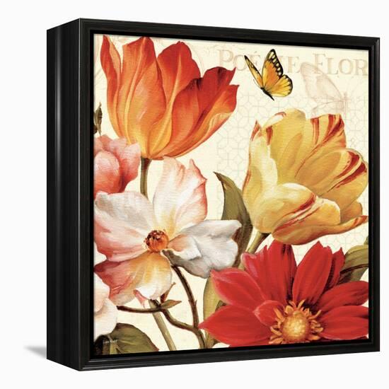 Poesie Florale III-Lisa Audit-Framed Stretched Canvas