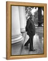 Poet and Vice President of Hartford Accident and Indemnity Co, Wallace Stevens Standing on Steps-Walter Sanders-Framed Premier Image Canvas