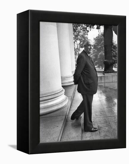 Poet and Vice President of Hartford Accident and Indemnity Co, Wallace Stevens Standing on Steps-Walter Sanders-Framed Premier Image Canvas