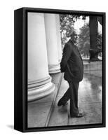 Poet and Vice President of Hartford Accident and Indemnity Co, Wallace Stevens Standing on Steps-Walter Sanders-Framed Premier Image Canvas