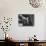 Poet Langston Hughes in Harlem-Robert W^ Kelley-Premium Photographic Print displayed on a wall