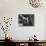 Poet Langston Hughes in Harlem-Robert W^ Kelley-Mounted Premium Photographic Print displayed on a wall