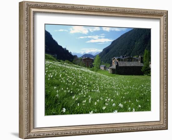 Poet's Narcissus and Tiny Old Church Above Arinsal Village, Arinsal, Andorra, Pyrenees-Pearl Bucknall-Framed Photographic Print