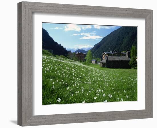 Poet's Narcissus and Tiny Old Church Above Arinsal Village, Arinsal, Andorra, Pyrenees-Pearl Bucknall-Framed Photographic Print