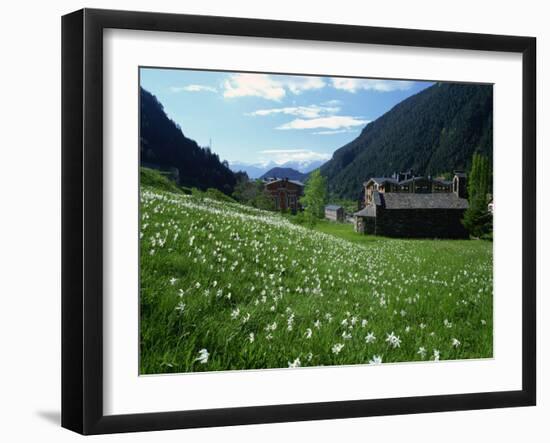 Poet's Narcissus and Tiny Old Church Above Arinsal Village, Arinsal, Andorra, Pyrenees-Pearl Bucknall-Framed Photographic Print