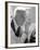 Poet William Carlos Williams-Lisa Larsen-Framed Premium Photographic Print