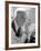 Poet William Carlos Williams-Lisa Larsen-Framed Premium Photographic Print