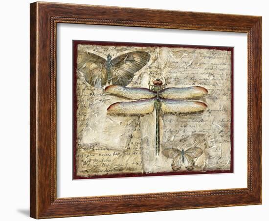 Poetic Dragonfly II-Chariklia Zarris-Framed Art Print