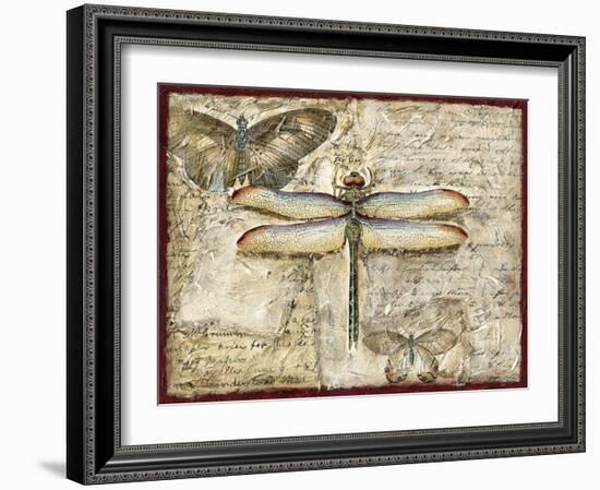 Poetic Dragonfly II-Chariklia Zarris-Framed Art Print