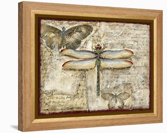 Poetic Dragonfly II-Chariklia Zarris-Framed Stretched Canvas