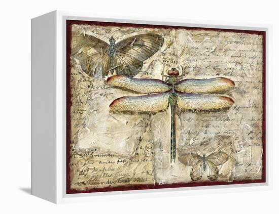 Poetic Dragonfly II-Chariklia Zarris-Framed Stretched Canvas