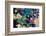 Poetic Flowers in Water-Alaya Gadeh-Framed Photographic Print